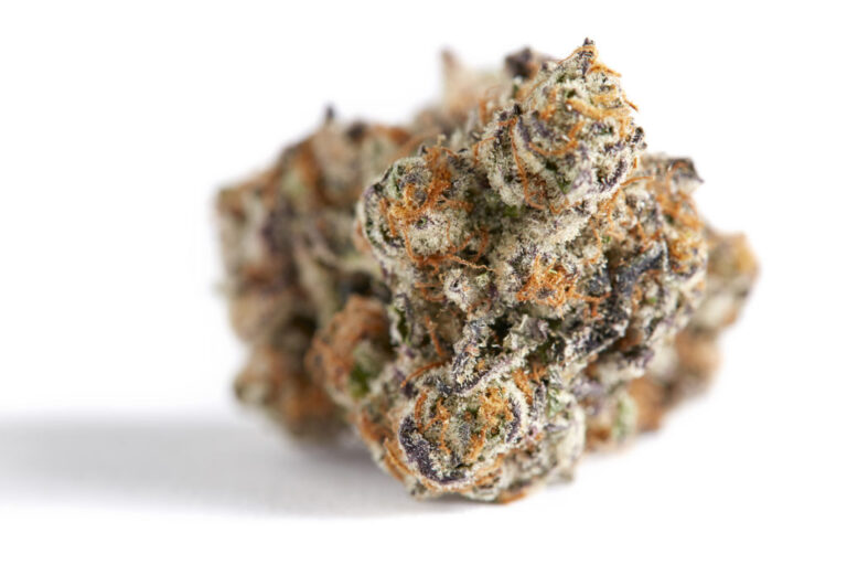 Big chief Gelato 42 Gelato 42 Big Chief Carts THC FLOWER & VAPES